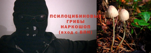 тгк Балахна