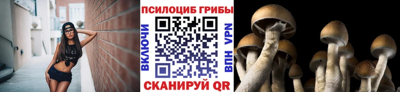 Псилоцибиновые грибы ЛСД  гидра ССЫЛКА  Пласт  как найти закладки 